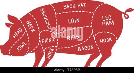 Les morceaux de viande, porc. Le porc, boucherie vector illustration Illustration de Vecteur