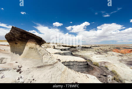 Rock panorama paysage désertique dans le nord du Nouveau Mexique dans la Bisti/De-Na-Zin espace sauvage avec des formations de roche hoodoo délavé sous un ciel bleu Banque D'Images