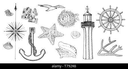 Jeu de symboles de la marine nautique. Les goélands, Helm, volant, anchor, Light House, Coral, shell, rose des vents, swellfish, etoile de mer, starfish, Illustration de Vecteur