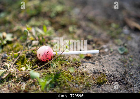 Une sucette se trouve sur le terrain et se fait manger par les fourmis. Banque D'Images