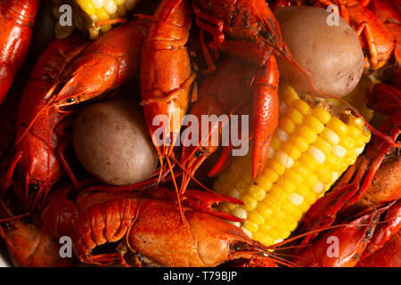 Faire bouillir la langouste avec des épis de maïs et de pommes de terre Banque D'Images