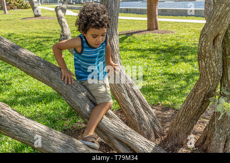 Sur une belle journée ensoleillée au parc rempli de petits arbres, une aventure petit garçon fait son chemin sur l'arbre. Banque D'Images