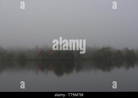 Recherche à travers le lac Dow vers l'Arboretum sur un matin d'automne brumeux, Ottawa, Ontario, Canada. Banque D'Images