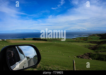 Road Trip vue depuis la fenêtre d'une voiture sur les champs verts et sur la côte de l'île du Sud, Nouvelle-Zélande Banque D'Images