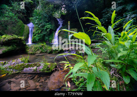 Dans Taquaruvira cascade Cachoeira Iporanga, Brésil Banque D'Images