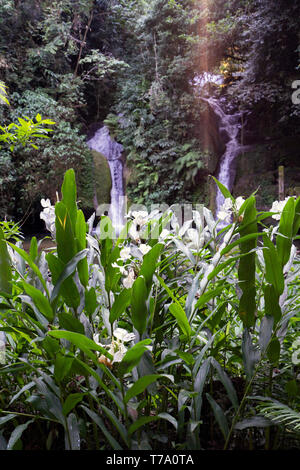 Dans Taquaruvira cascade Cachoeira Iporanga, Brésil Banque D'Images