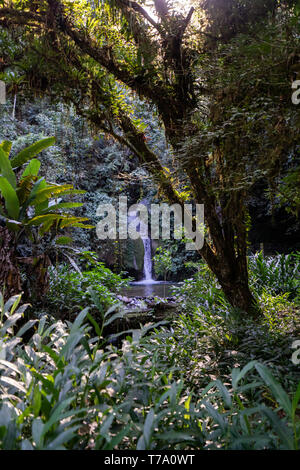 Dans Taquaruvira cascade Cachoeira Iporanga, Brésil Banque D'Images