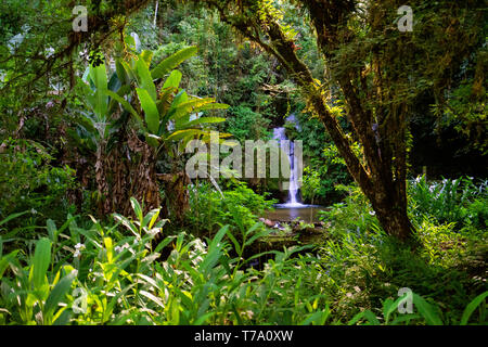 Dans Taquaruvira cascade Cachoeira Iporanga, Brésil Banque D'Images