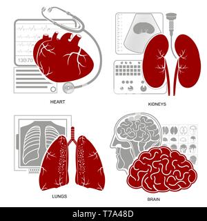 Design plat quatre cœur icône médecine cerveau poumons reins et leurs équipements de diagnostic Illustration de Vecteur