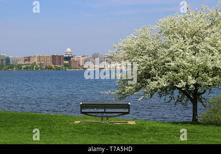 Journée de printemps ensoleillée avec de beaux paysage urbain et d'arbres en fleurs sur un banc de premier plan. Vue panoramique sur le lac Monona de l'Olin city park. Banque D'Images