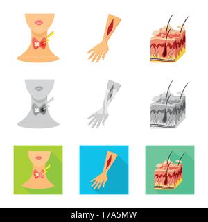 Les blessures de la peau,,,,Bras cou,épiderme adipeux,anatomie,sang,tissu,corps humain,,,traitement,thyroïde,interstitielle,cheveux,follicule,la,médical,glande,la douleur,la maladie,dermatologie,healthcare,set,icône,,illustration,collection,isolé,design,graphisme,élément,signe, vecteurs vecteur , Illustration de Vecteur