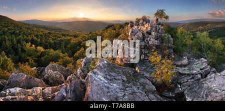 Coucher du soleil en forêt avec rocky mountain hill Banque D'Images