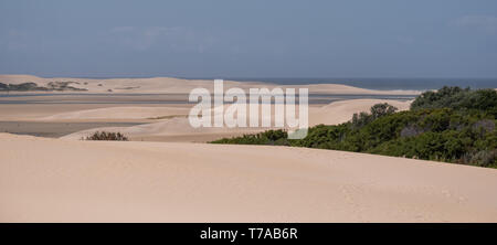 Les champs de dunes côtières Alexandrie avec la mer au loin, près de l'Addo / Colchester sur la Sunshine Coast en Afrique du Sud. Banque D'Images