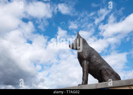 Le Big Blue Healer monument érigé dans le NSW Ville de Corlette en 2001 pour célébrer cette race de chien australien et sa contribution à l'agriculture Banque D'Images