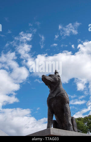 Le Big Blue Healer monument érigé dans le NSW Ville de Corlette en 2001 pour célébrer cette race de chien australien et sa contribution à l'agriculture Banque D'Images