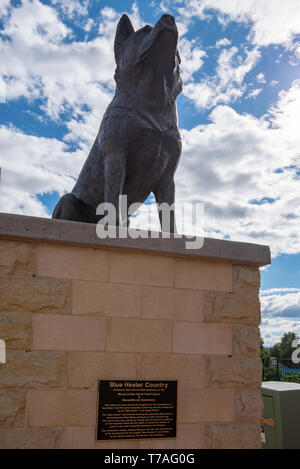 Le Big Blue Healer monument érigé dans le NSW Ville de Corlette en 2001 pour célébrer cette race de chien australien et sa contribution à l'agriculture Banque D'Images