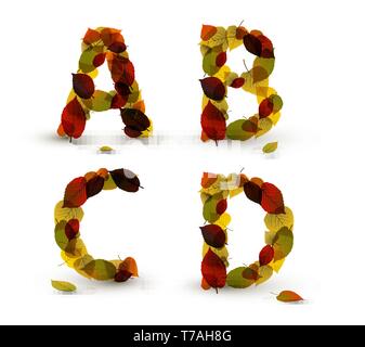 Lettres alphabet vecteur Automne / font fabriqués à partir de feuilles colorées Illustration de Vecteur