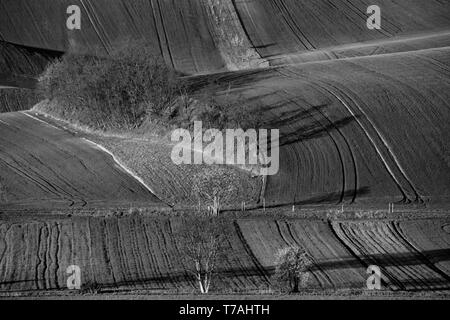 Matin voir de Šardice groves dans la campagne vallonnée de la Toscane morave, dans les domaines de champs et de vignobles, République Tchèque Banque D'Images