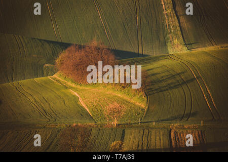 Matin voir de Šardice groves dans la campagne vallonnée de la Toscane morave, dans les domaines de champs et de vignobles, République Tchèque Banque D'Images