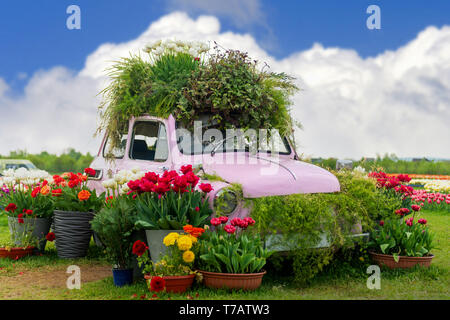 Vieille voiture rose à décor de fleurs au jardin Banque D'Images