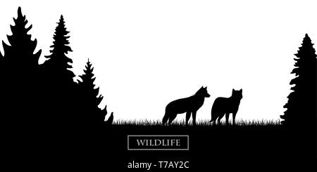 Deux loups sauvages silhouette dans la forêt sur le pré noir et blanc illustration vecteur EPS10 Illustration de Vecteur