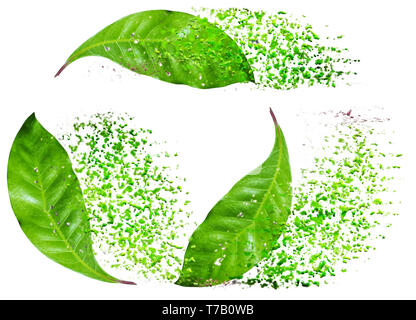 Image de l'amélioré numériquement logo de recyclage créé avec une photo de trois feuilles vertes sur fond blanc Banque D'Images