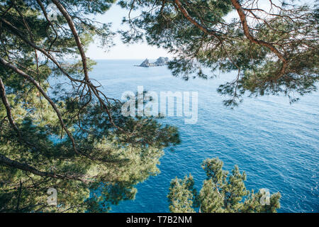 Belle vue de conifères ou de branches de sapins au premier plan contre le ciel, la mer et l'île près de Petrovac, Monténégro Banque D'Images