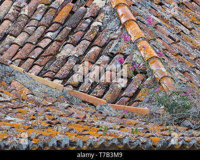 Tuiles de couleurs sur un toit à Lisbonne Banque D'Images