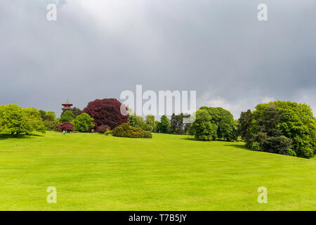 Tour japonaise vu pendant un temps orageux dans le parc du château de Laeken, la maison de la famille royale belge Banque D'Images
