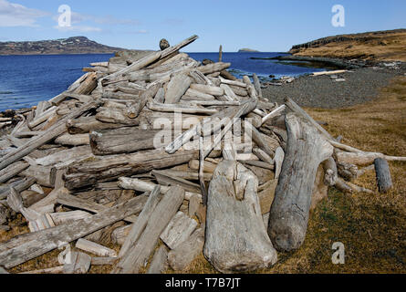 Driftwood islandais : grumes, bois et branches échoués sur les rives de l'Islande s'asseoir dans une pile recueillie comme une forme de petite industrie. Banque D'Images