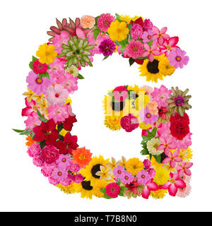 Alphabet Lettre G avec ABC fleurs type de concept que logo isolé sur fond blanc Banque D'Images