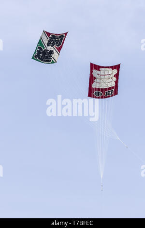 Saitama, Japon. 5 mai, 2019. Gros kites soar pendant le Festival de cerf-volant géant à Kasukabe. Les participants ont pris l'avion cerfs-volants géants (pèse 800 kilogrammes, 11 mètres de large et 15 mètres de haut) à prier pour une récolte exceptionnelle de graines de sensibilisation. Le festival annuel a eu lieu à partir de 1841 et cette année est tenue les 3 et 5. Kasukabe city dispose également d'un kite musée abritant divers 450 cerfs-volants japonais et étrangers. Credit : Rodrigo Reyes Marin/ZUMA/Alamy Fil Live News Banque D'Images