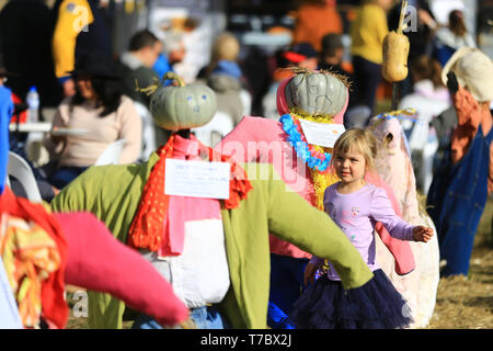 Collectionneur, Canberra la capitale de l'Australie. 5 mai, 2019. Une fille admire épouvantails avec têtes de citrouille citrouille sur Festival à collecteur, d'une demi-heure de route de la capitale australienne Canberra, le 5 mai 2019. Le Village de collection Festival de la citrouille, qui tombe sur le premier dimanche de mai, est dans sa 16e année. Le Village de collection qui est normalement tranquille a été transformé en un parc d'amusement le dimanche, attire des visiteurs de grandes villes pour ralentir et profiter de la vie idyllique. Credit : Pan Xiangyue/Xinhua/Alamy Live News Banque D'Images