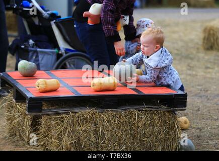 Collectionneur, Canberra la capitale de l'Australie. 5 mai, 2019. Un enfant joue Tic-Tac-Toe avec des citrouilles sur Pumpkin Festival à collecteur, d'une demi-heure de route de la capitale australienne Canberra, le 5 mai 2019. Le Village de collection Festival de la citrouille, qui tombe sur le premier dimanche de mai, est dans sa 16e année. Le Village de collection qui est normalement tranquille a été transformé en un parc d'amusement le dimanche, attire des visiteurs de grandes villes pour ralentir et profiter de la vie idyllique. Credit : Pan Xiangyue/Xinhua/Alamy Live News Banque D'Images