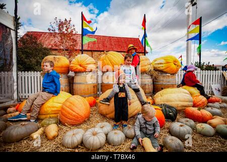 Collectionneur, Canberra la capitale de l'Australie. 5 mai, 2019. Les enfants jouent avec des citrouilles sur Pumpkin Festival à collecteur, d'une demi-heure de route de la capitale australienne Canberra, le 5 mai 2019. Le Village de collection Festival de la citrouille, qui tombe sur le premier dimanche de mai, est dans sa 16e année. Le Village de collection qui est normalement tranquille a été transformé en un parc d'amusement le dimanche, attire des visiteurs de grandes villes pour ralentir et profiter de la vie idyllique. Credit : Pan Xiangyue/Xinhua/Alamy Live News Banque D'Images