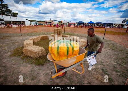 Collectionneur, Canberra la capitale de l'Australie. 5 mai, 2019. Un garçon prend part à une course de brouette sur Pumpkin Festival à collecteur, d'une demi-heure de route de la capitale australienne Canberra, le 5 mai 2019. Le Village de collection Festival de la citrouille, qui tombe sur le premier dimanche de mai, est dans sa 16e année. Le Village de collection qui est normalement tranquille a été transformé en un parc d'amusement le dimanche, attire des visiteurs de grandes villes pour ralentir et profiter de la vie idyllique. Credit : Pan Xiangyue/Xinhua/Alamy Live News Banque D'Images