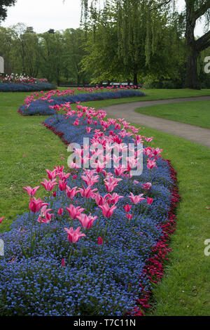 Parterres de printemps à Abbey Park, Evesham, Worcestershire, Angleterre, RU Banque D'Images