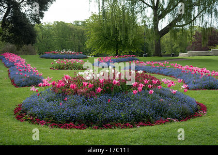 Parterres de printemps à Abbey Park, Evesham, Worcestershire, Angleterre, RU Banque D'Images