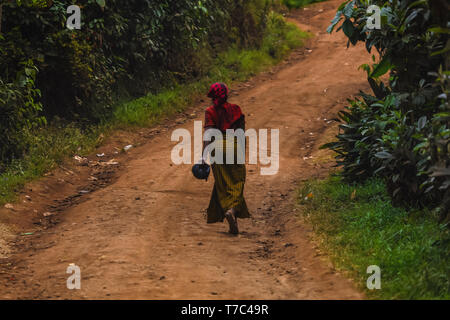 Femme marche sur la route par elle-même, tenant à la main un sac à main. Le port de foulard rouge sur la tête, longue jupe jaune. La nature sauvage à l'extérieur de la ville, vert Banque D'Images