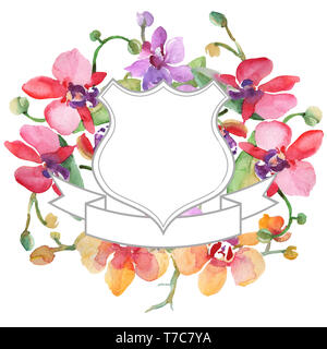 Bouquets de fleurs d'orchidées botaniques. Contexte aquarelle illustration set. Bordure de cadre carré ornement. Banque D'Images