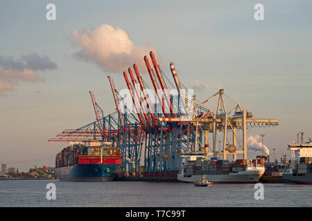 Container Terminal Tollerort, Hambourg, Allemagne Banque D'Images