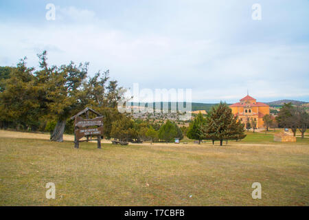 Forêt de genévrier. Moral de Hornuez, province de segovia, Castilla Leon, Espagne. Banque D'Images