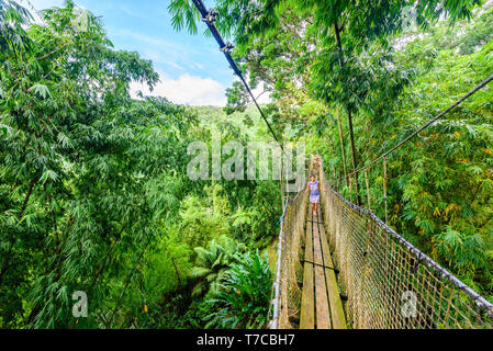 Jardin de Balata, Martinique - jardin botanique tropical Paradise sur l'île des Caraïbes avec des ponts de suspension - France Banque D'Images