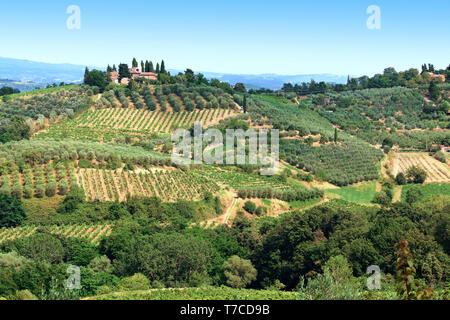 La campagne toscane plantée d'oliviers, vignes, cyprès. L'Italie. Banque D'Images