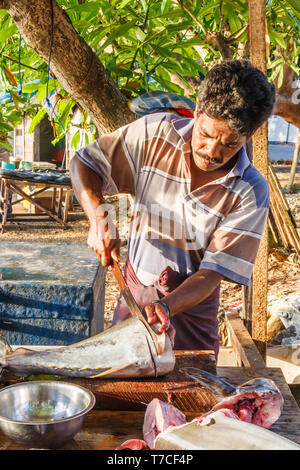 Galle, Sri Lanka - 14 mars 2011 : les tranches de poisson sur le marché sur la plage. Les pêcheurs vendent leur propre prise ici. Banque D'Images