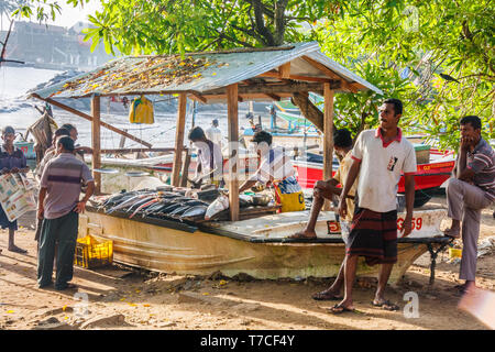 Galle, Sri Lanka - 14 mars 2011 : marché aux poissons, sur la plage. Les pêcheurs vendent leur propre prise ici. Banque D'Images