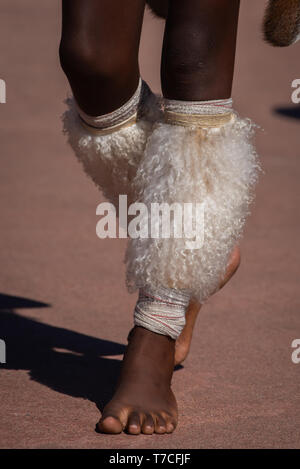 Détail de l'animal se cache la Zulu dancers lier autour de leurs veaux. Banque D'Images