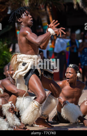 La culture zoulou danseurs montrent leur passion et se déplace à bord de l'eau à Durban, Afrique du Sud. Banque D'Images