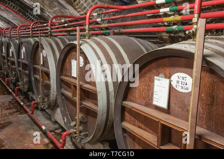 Editorial : Fécamp, Seine-maritime, FRANCE, Septembre 16, 2018 - barils avec ingrédients pour la liqueur de l'abbaye bénédictine en attente d'être brassé Banque D'Images