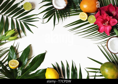 Fleurs tropicales et de fruits exotiques, bandeau web. La noix de coco, citrons, mangue et fleurs de l'amaryllis dans des feuilles d'Aralia et plam. Tableau blanc backgroun Banque D'Images